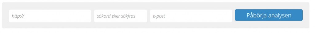 sökmotoroptimeringsanalys