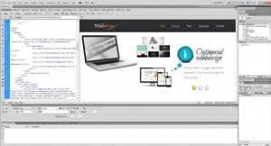 webbdesign